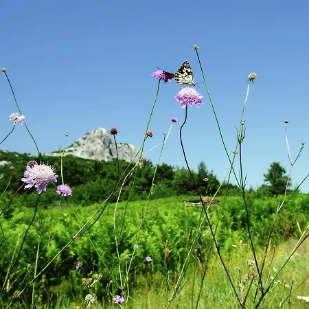 Enchanting Holiday In Kijani With Swimming Pool * Gračac